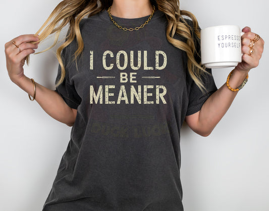 I could be meaner Shirt